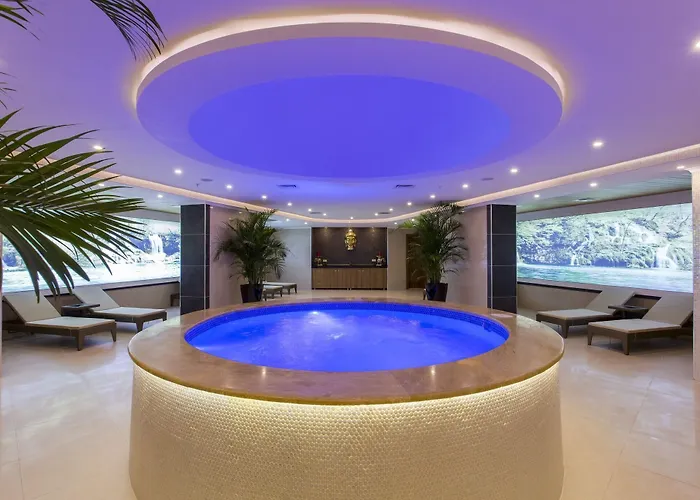 Michell & (adults Only)