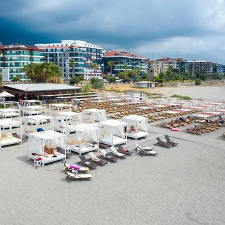 Michell & (adults Only)