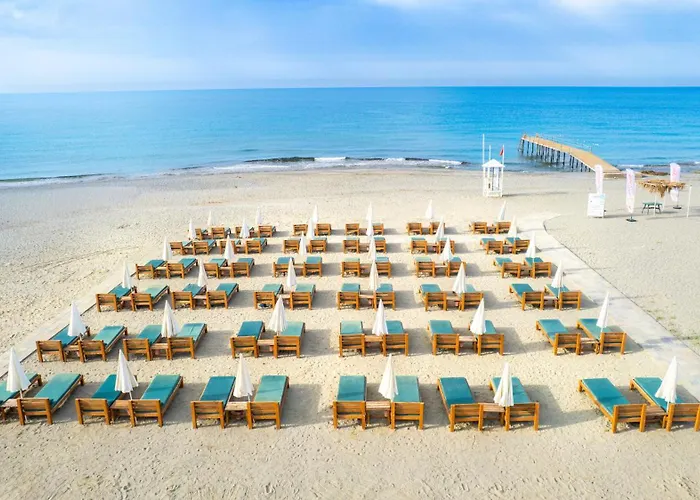 Michell & (adults Only)