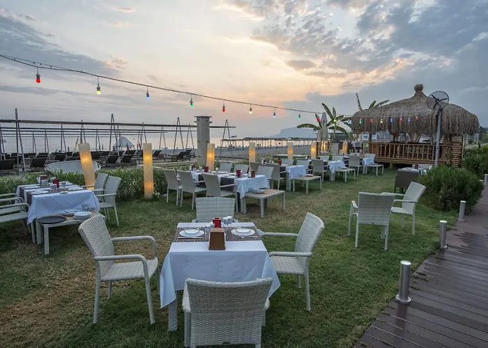 Michell & (adults Only) 酒店 阿拉尼亚